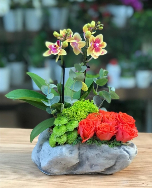 Mini orkide